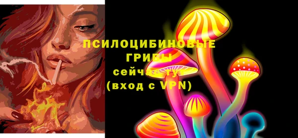 соль ск Волоколамск
