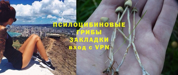соль ск Волоколамск